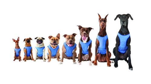 GF Pet Elasto-Fit Ice Vest - Blue (size: 3XL)