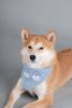 Touchdog Â® 'Dizzy-Eyed Cyclops' Cotton Velcro Dog Bandana and Scarf