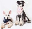 Touchdog Â® 'Dizzy-Eyed Cyclops' Cotton Velcro Dog Bandana and Scarf