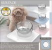 Pet Life Â® 'Surface' Anti-Skid and Anti-Spill Curved and Clear Removable Pet Bowl