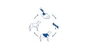 GF Pet Elasto-Fit Ice Vest - Blue