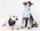 Touchdog Â® 'Dizzy-Eyed Cyclops' Cotton Velcro Dog Bandana and Scarf