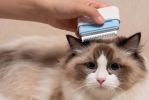 Pet Life Â® 'Zipocket' 2-in-1 Underake and Stainless Steel Travel Grooming Pet Comb