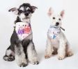 Touchdog Â® 'Head-Popper' Fashion Designer Printed Velcro Dog Bandana